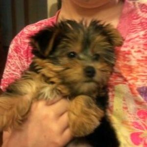 Meet your Posher, Teresa